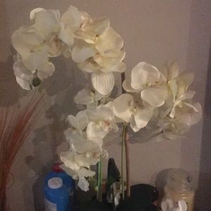 Meet your Posher, Corinta